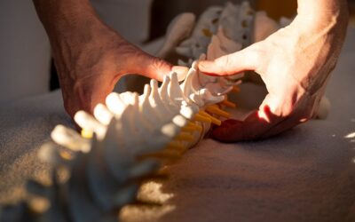 Kiedy ból kręgosłupa wymaga wizyty u fizjoterapeuty?